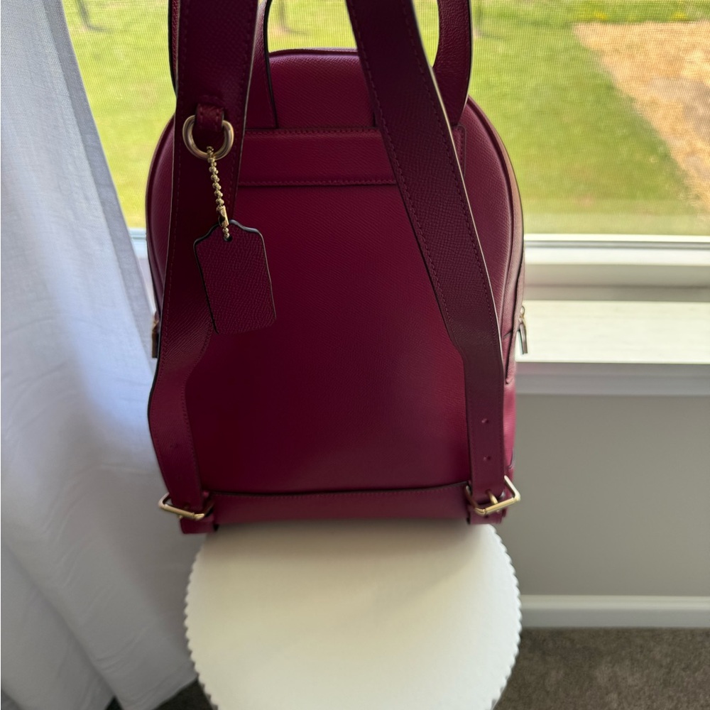 Coach Backpack-Pink - Picture 3 of 4
